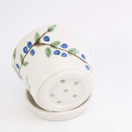 Berry Bowl with Blueberries