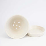 Berry Bowl with Blueberries