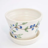 Berry Bowl with Blueberries