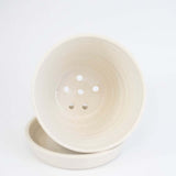 Berry Bowl with Cherries