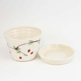 Berry Bowl with Cherries