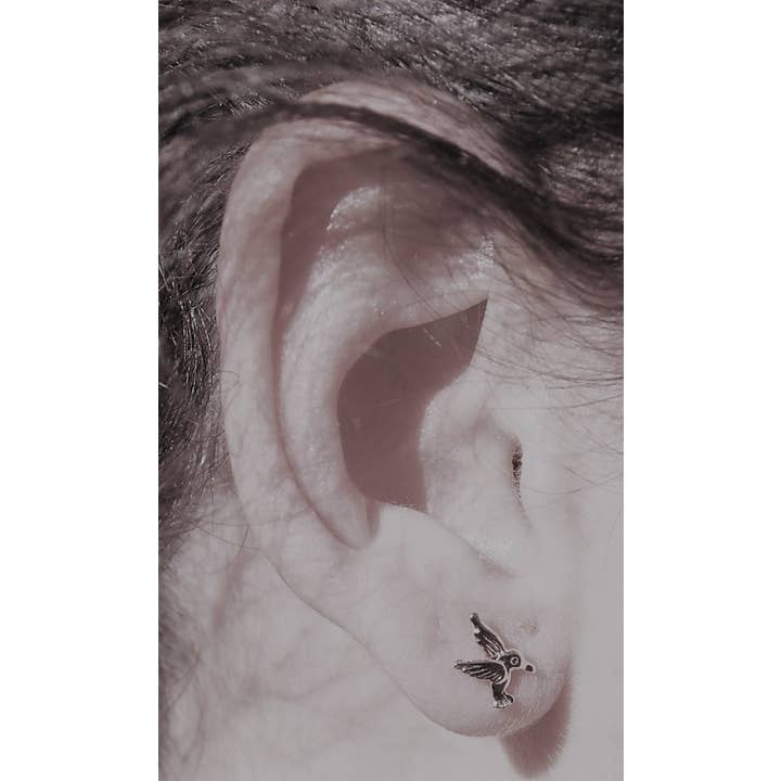 Hummingbird Earrings in Sterling Silver at PINCH