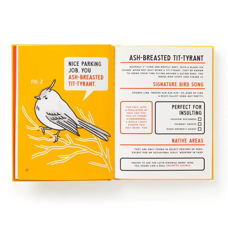 Illustrated Guide to Birds that Sound like Insults