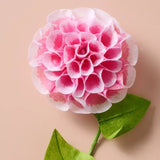 Silk Paper Dahlia Flower Pink