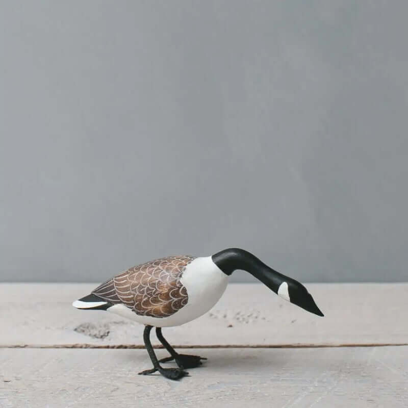 Mini Canada Goose at PINCH