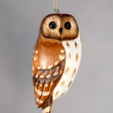 Hanging Barred Owl in Wood from Aviologie at Pinch in Northampton, MA