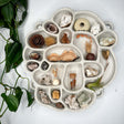 Shelf of Inspiration #1 in Stone Cement at PINCH