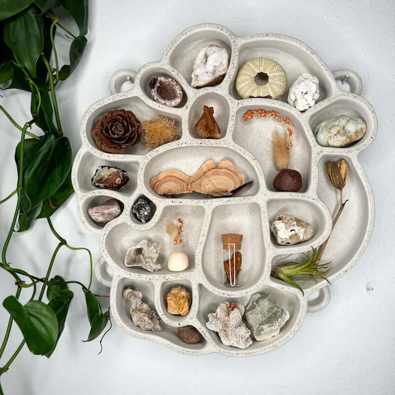 Shelf of Inspiration #1 in Stone Cement at PINCH