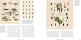 Innumerable Insects