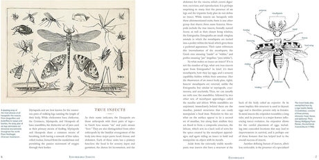 Innumerable Insects