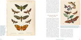 Innumerable Insects