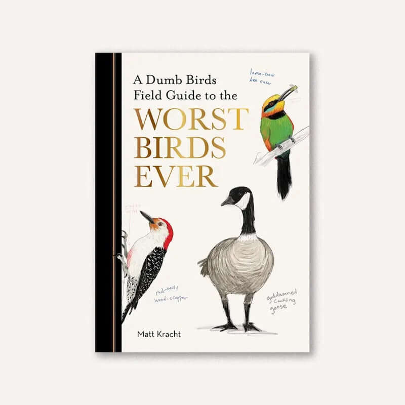 Dumb Birds Field Guide To the Worst Birds Ever at PINCH