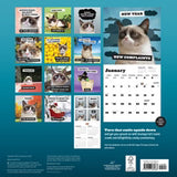2026 Grumpy Cat Calendar from Chronicle Books at Pinch in Northampton, MA