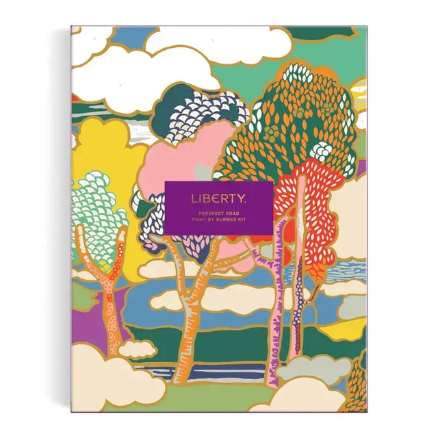 Liberty Prospect Road 9x12 Paint By Number from Chronicle Books at Pinch in Northampton, MA