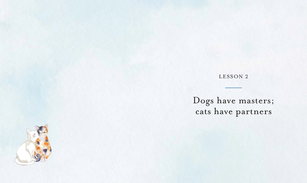 10 Spiritual Lessons You Can Learn from Your Cat
