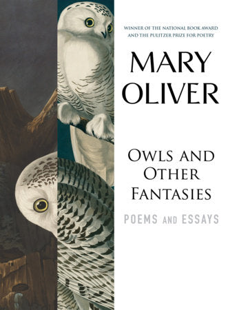 Owls & Other Fantasies Book
