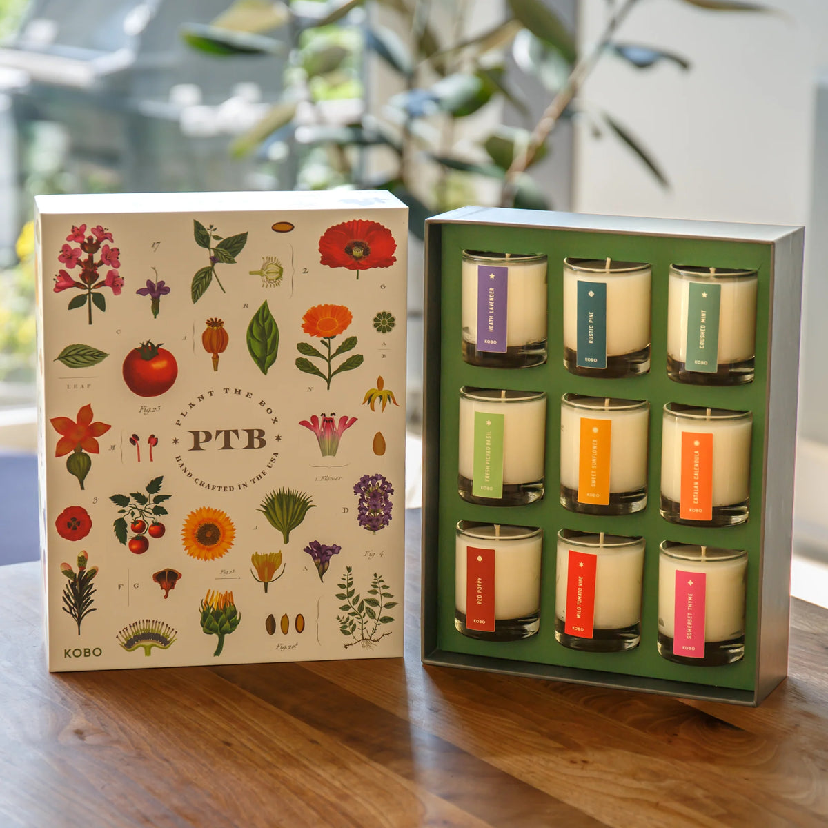 Votive Plant the Box Gift Set