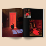 Snail World Book 2: Welcome to Slimetown from Broccoli at Pinch in Northampton, MA