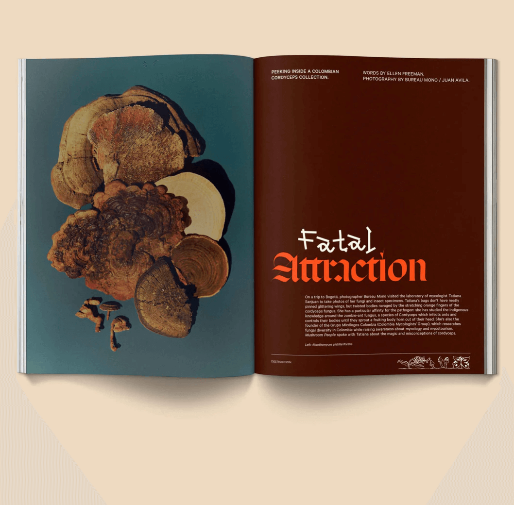 Mushroom People Magazine: Volume 2 at PINCH