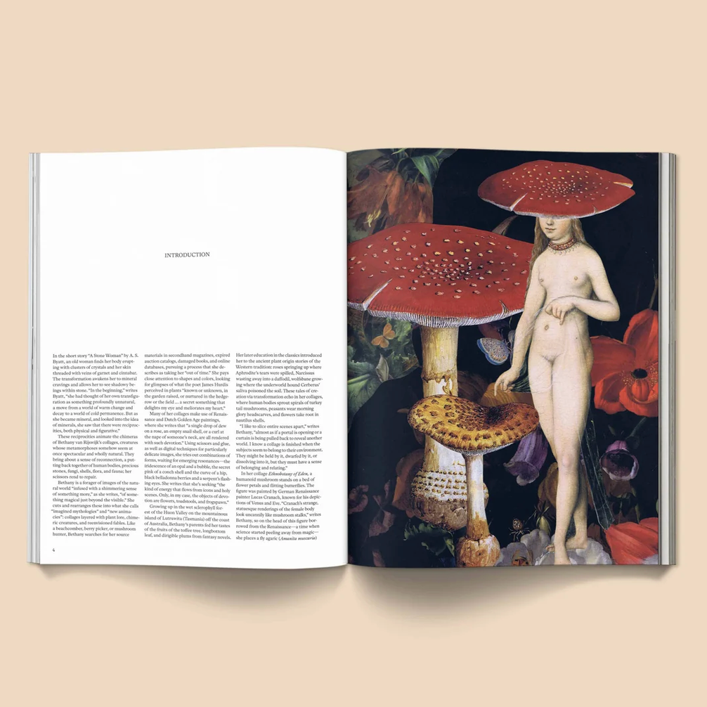 Devotion to the Otherworld Magazine