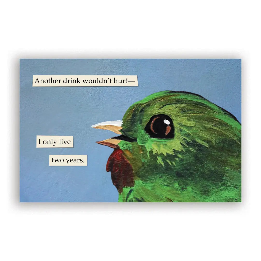 Troubled Birds 2027 Calendar