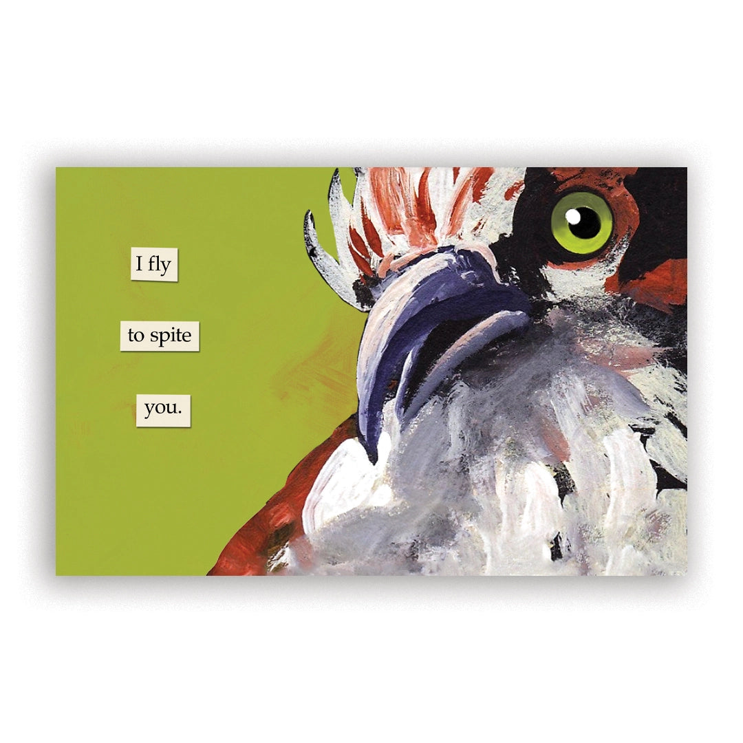 Troubled Birds 2027 Calendar