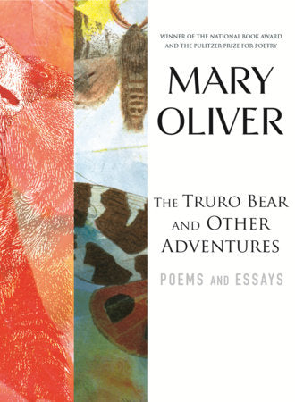 The Truro Bear & Other Adventures Book