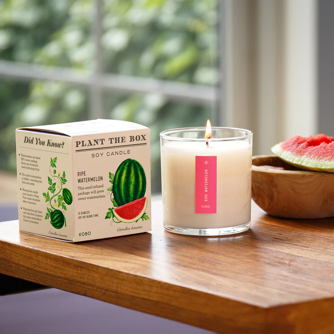 Ripe Watermelon Candle