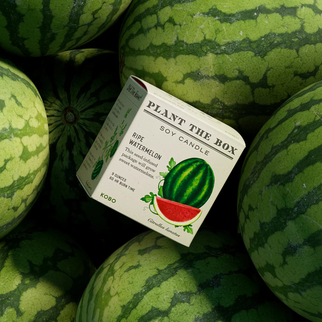 Ripe Watermelon Candle