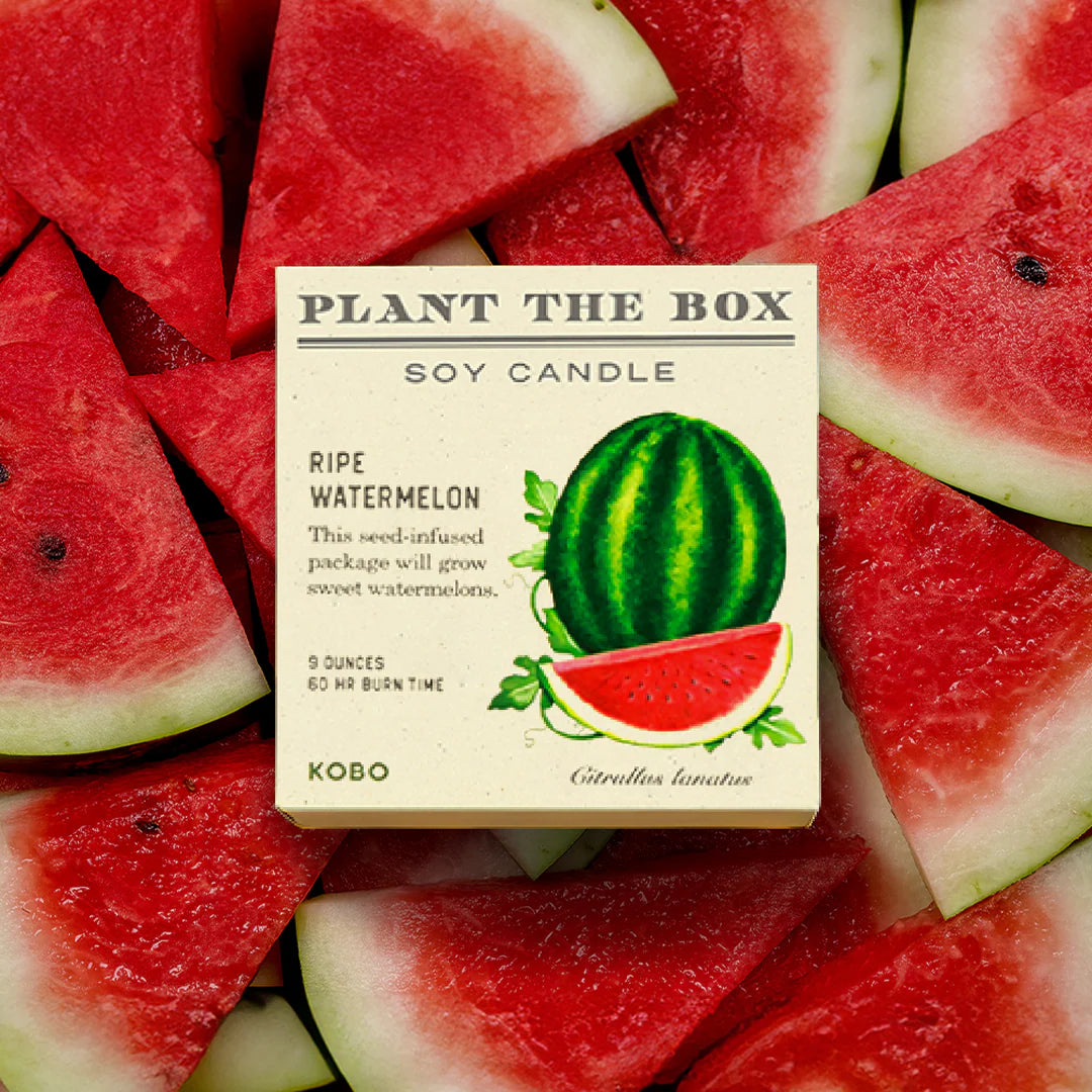 Ripe Watermelon Candle