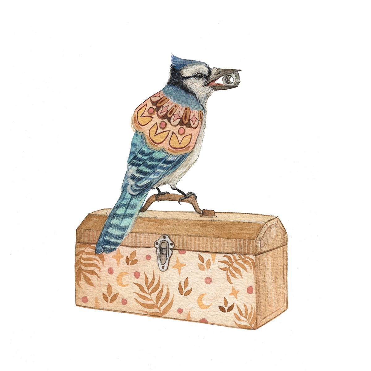 Woodland Home: Alfred's Toolbox 8x10 Print from Polanshek of the Hills at Pinch in Northampton, MA