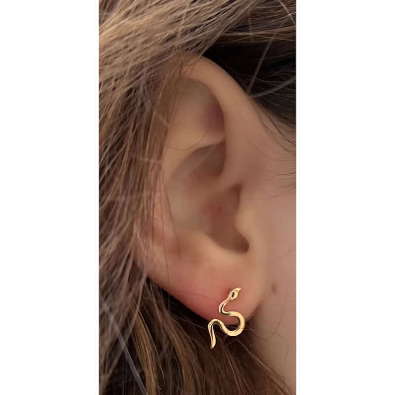 Snake Stud Earrings in 14k Gold Fill at PINCH