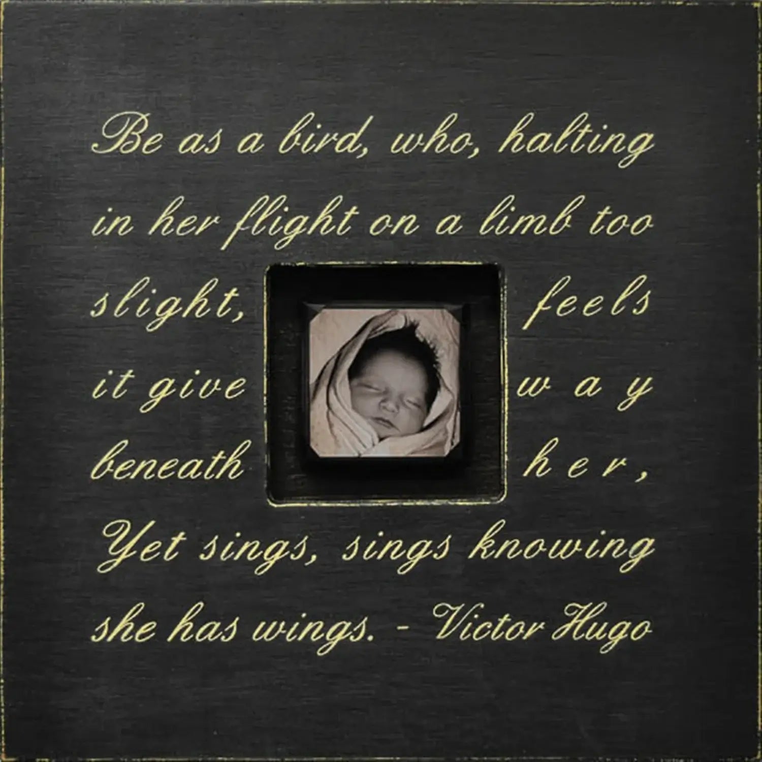 Be as a Bird Photobox