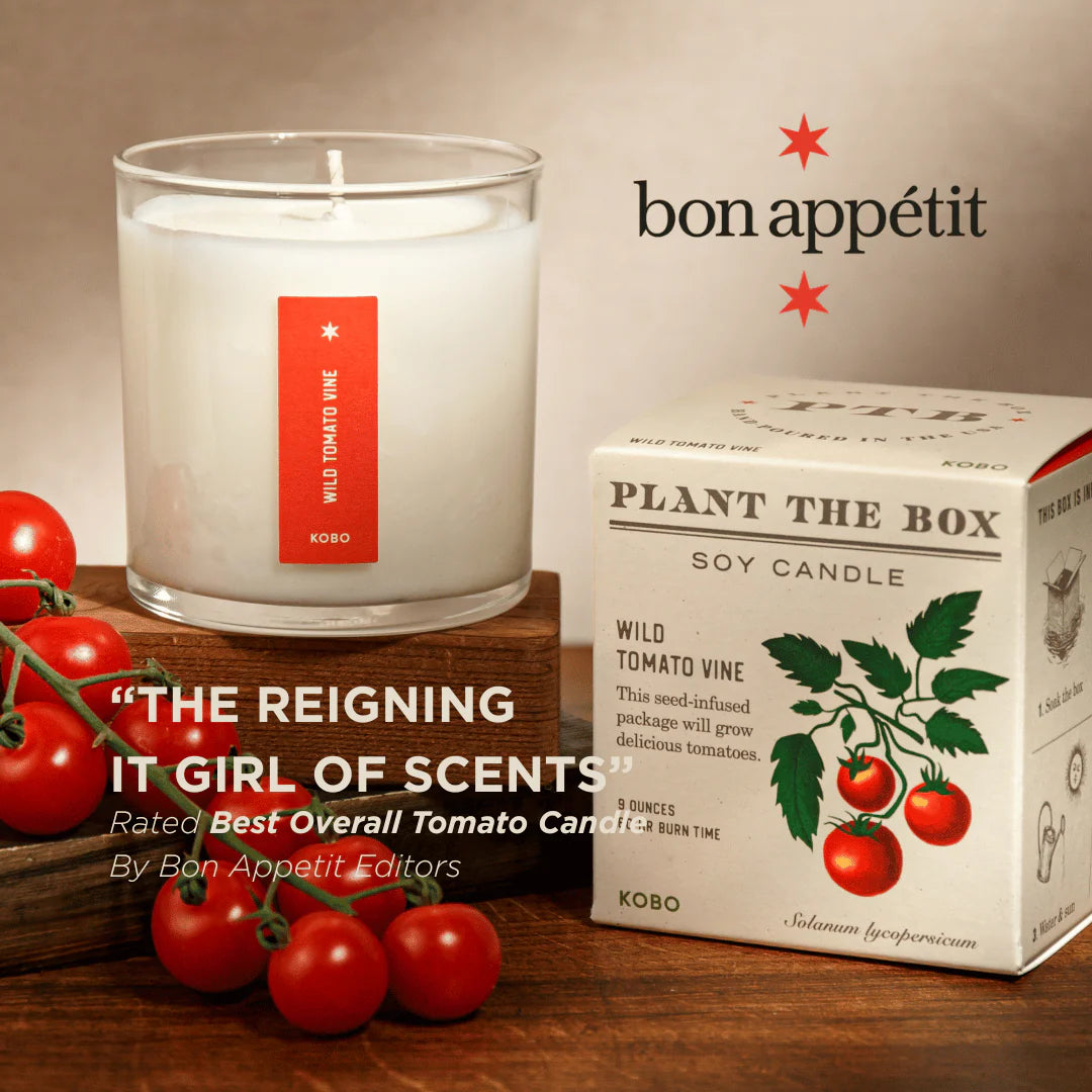 Wild Tomato Vine Plant the Box Candle