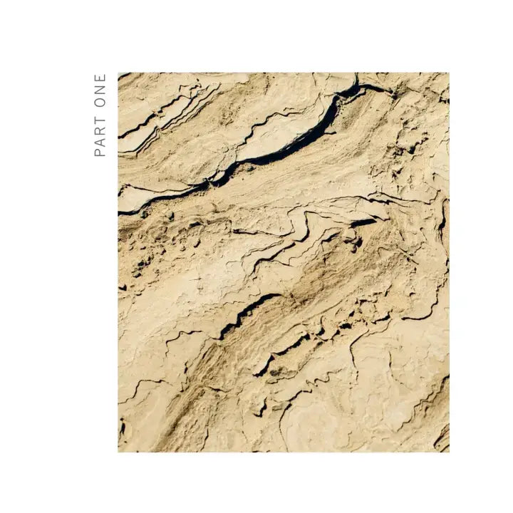 Living Ayurveda Book at PINCH