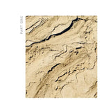 Living Ayurveda Book at PINCH