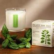 Fresh Picked Basil Plant the Box Candle at PINCH