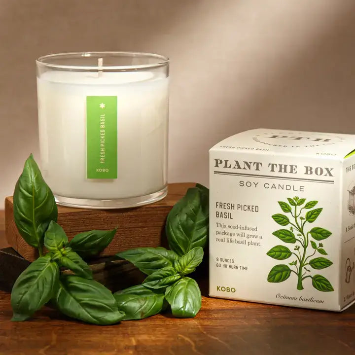 Fresh Picked Basil Plant the Box Candle at PINCH