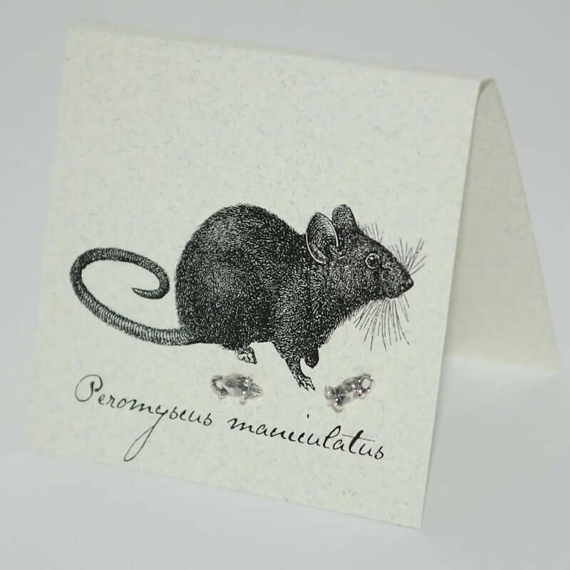 Mouse Earrings in Sterling Silver at PINCH