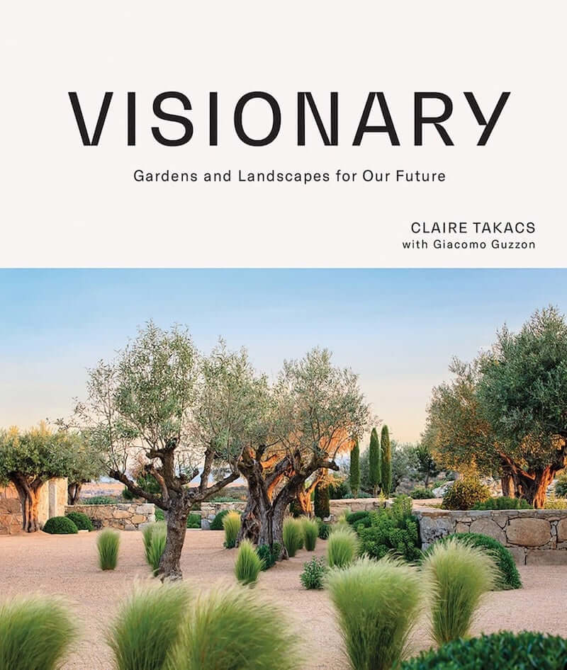 Visionary at PINCH