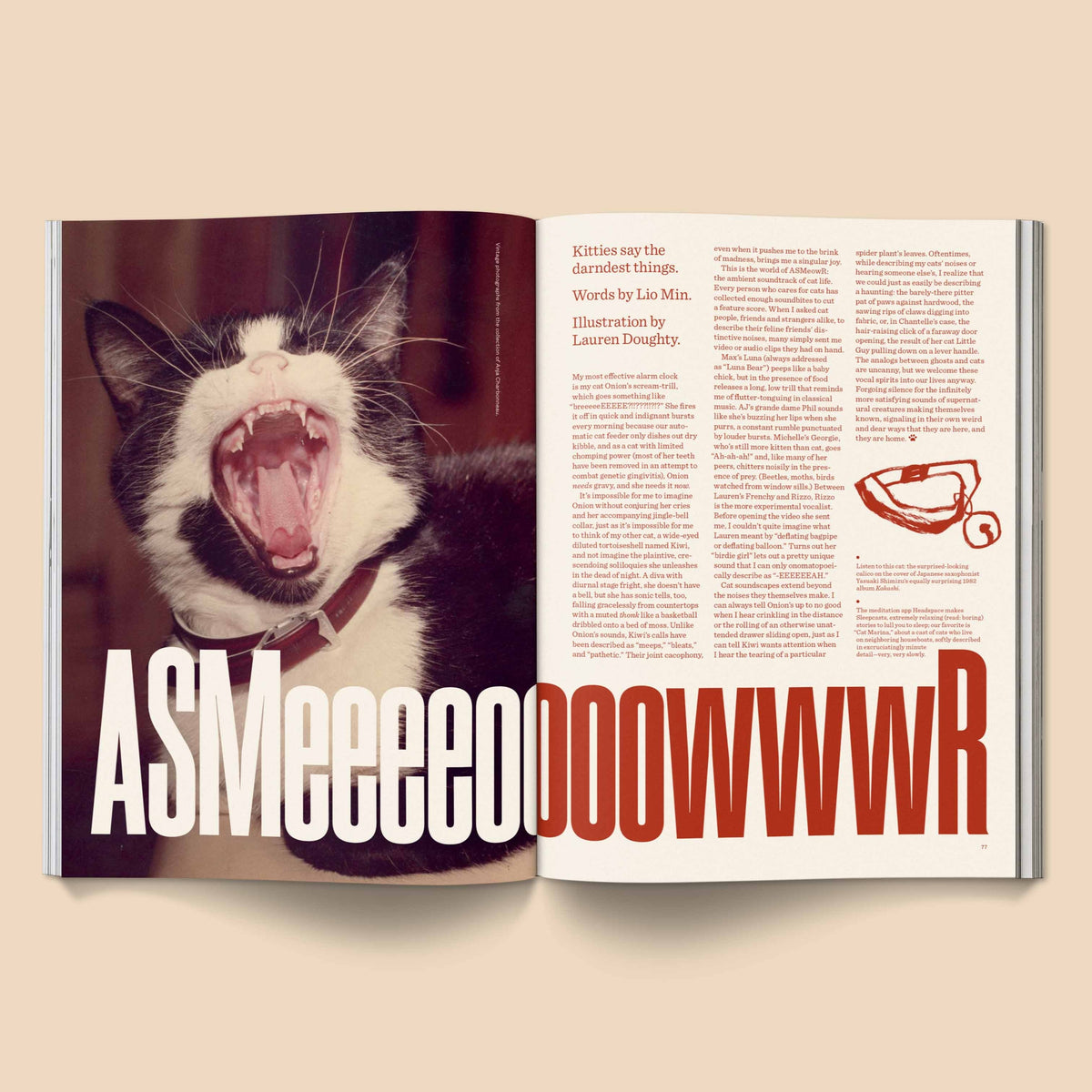 Catnip Magazine at PINCH