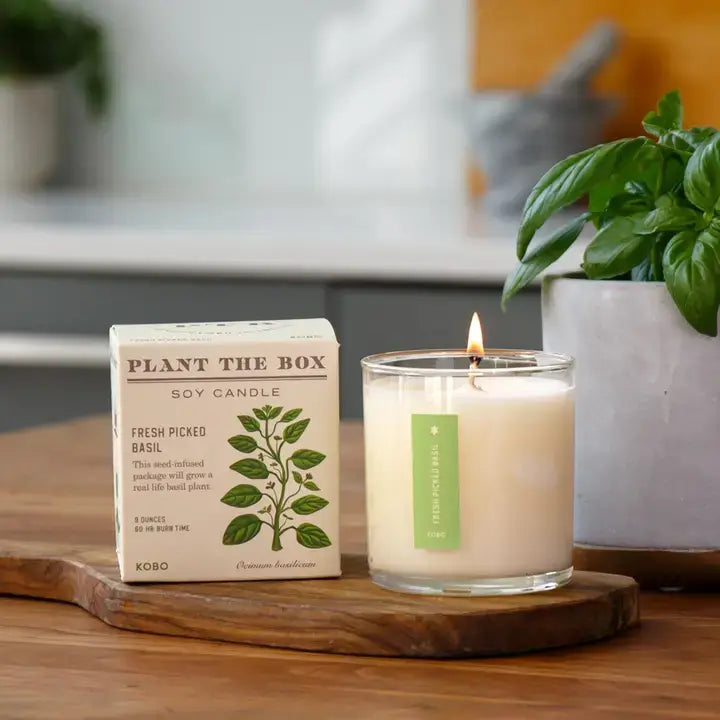 Fresh Picked Basil Plant the Box Candle at PINCH