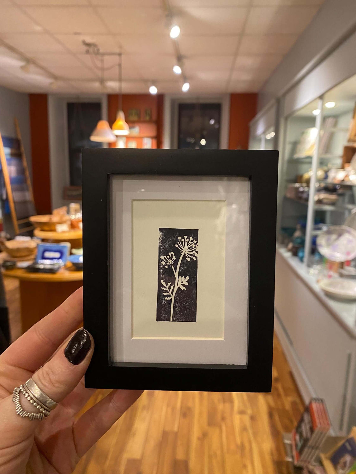 2x3 Queen Anne's Lace Print from Kellie Rainville at Pinch in Northampton, MA