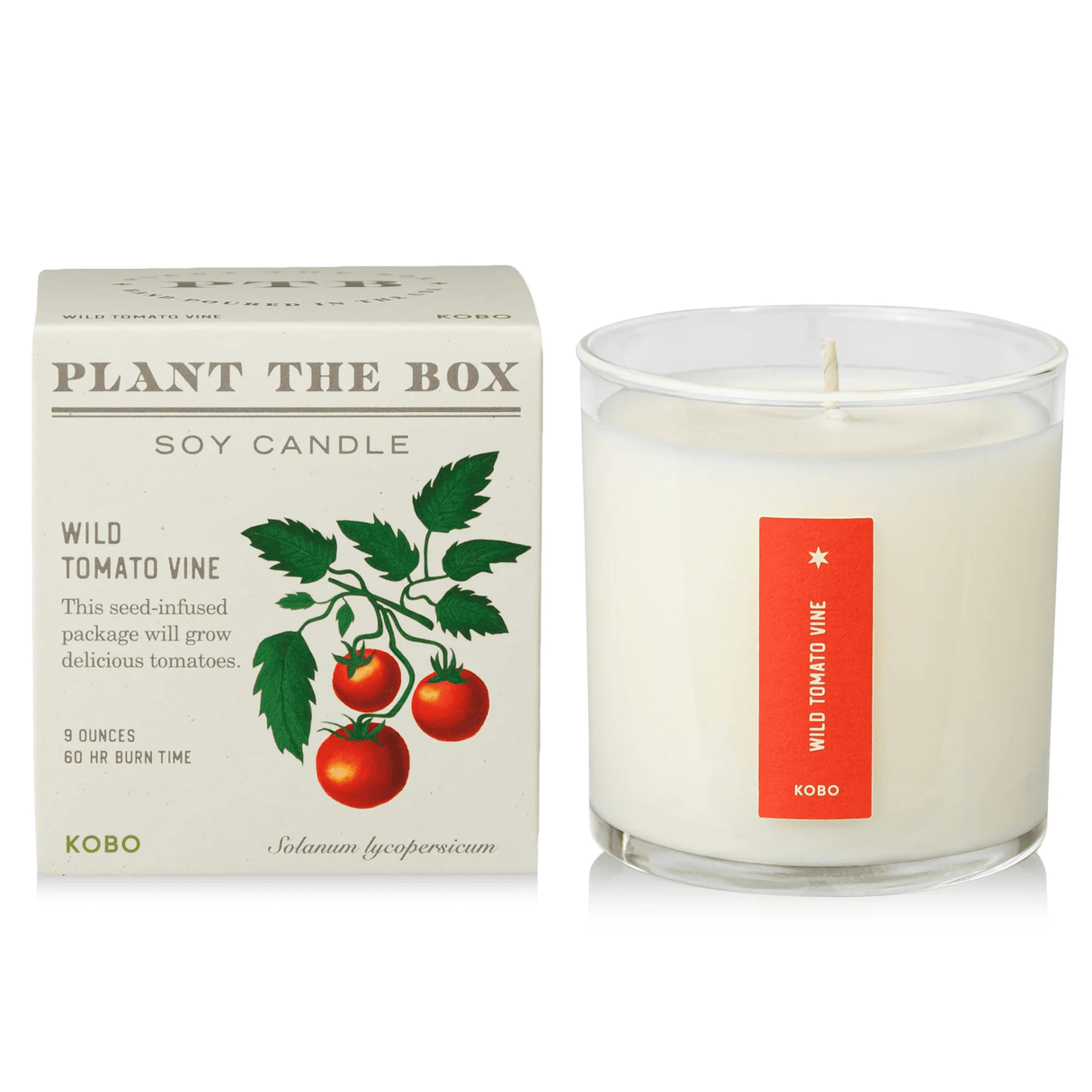 Wild Tomato Vine Plant the Box Candle from KOBO at Pinch in Northampton, MA