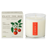 Wild Tomato Vine Plant the Box Candle from KOBO at Pinch in Northampton, MA