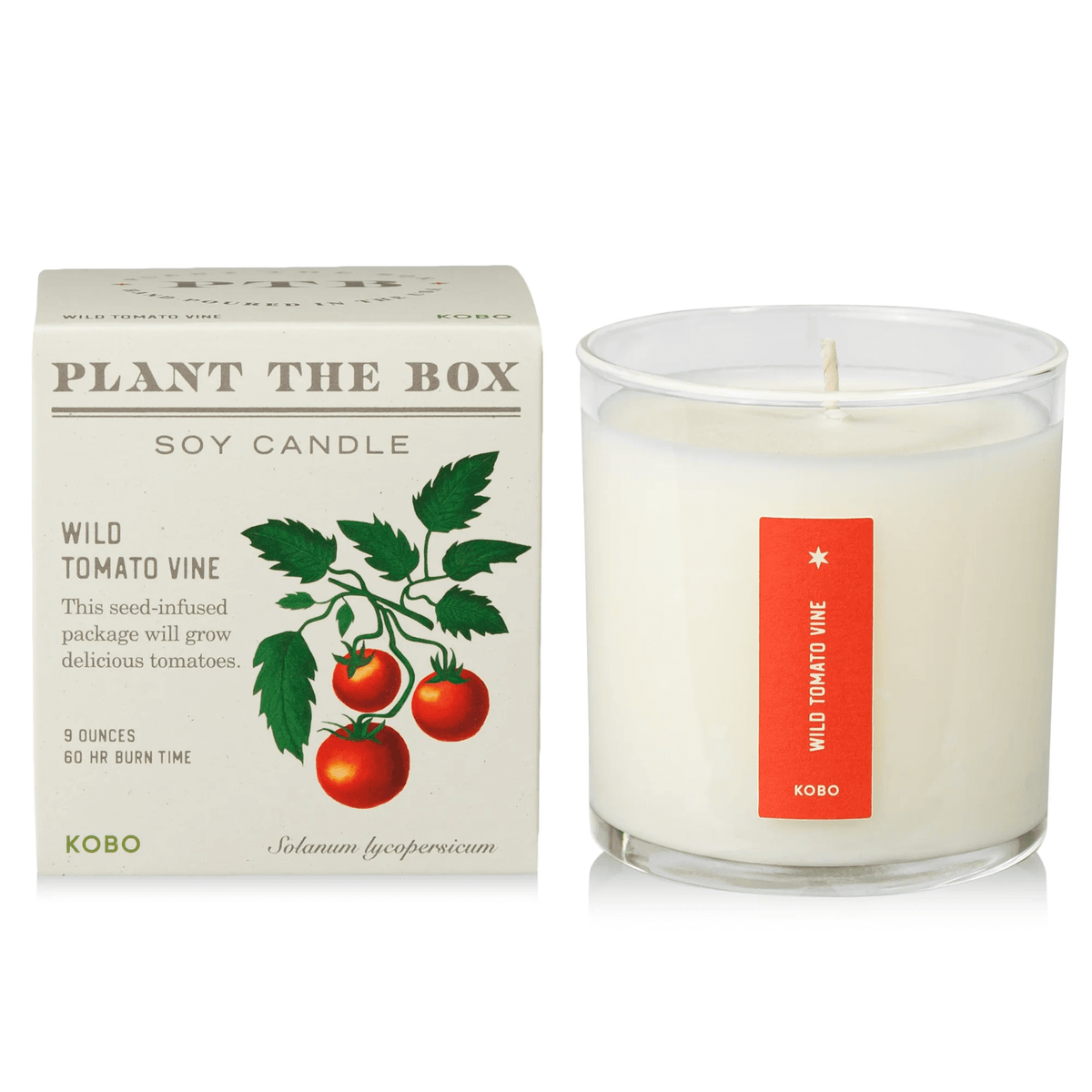 Wild Tomato Vine Plant the Box Candle at PINCH