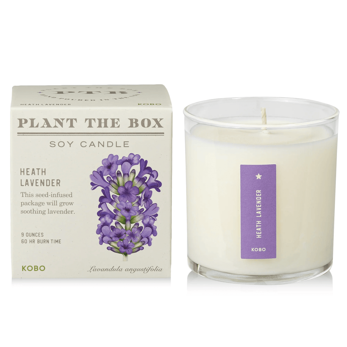 Heath Lavender Plant the Box Candle from KOBO at Pinch in Northampton, MA