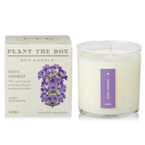 Heath Lavender Plant the Box Candle from KOBO at Pinch in Northampton, MA