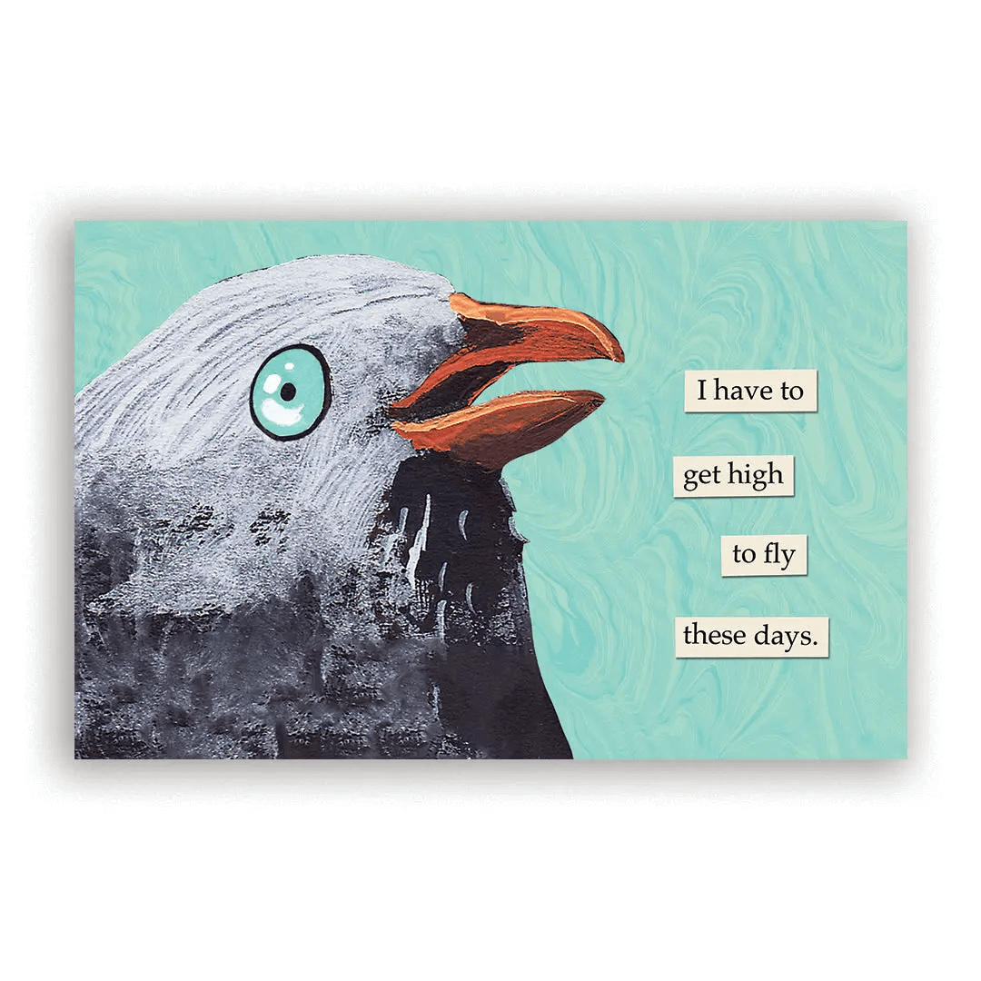 2026 Troubled Birds Calendar from The Mincing Mockingbird at Pinch in Northampton, MA