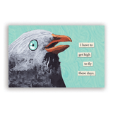 2026 Troubled Birds Calendar from The Mincing Mockingbird at Pinch in Northampton, MA